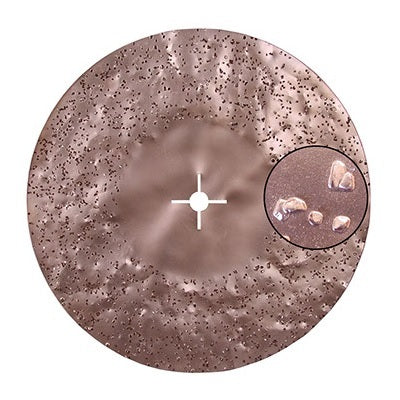 Raimondi 36 Grit Carbide Disc